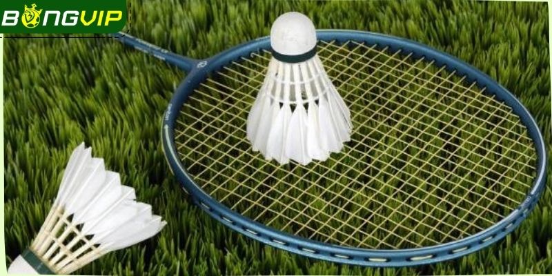 Lý do hội viên nên tham cá cược thể thao tại nhà cái Bongvip